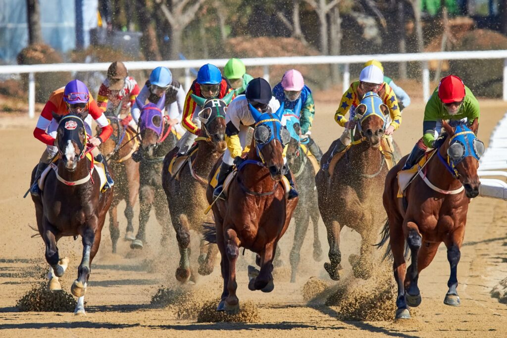 free horse racing picks